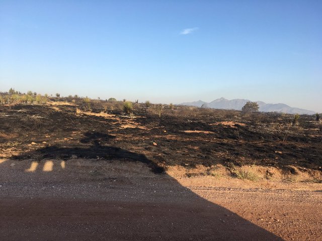 Too hot for planes: Flights cancelled as extreme heat hits Phoenix